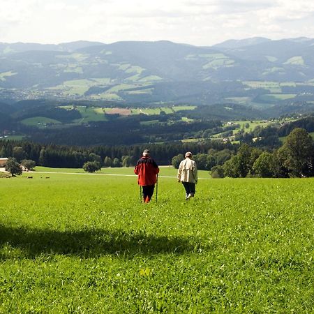 Wildwiesenhof Miesenbach  Εξωτερικό φωτογραφία