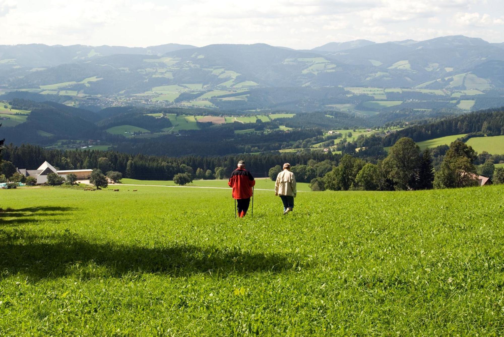 Wildwiesenhof Miesenbach  Εξωτερικό φωτογραφία