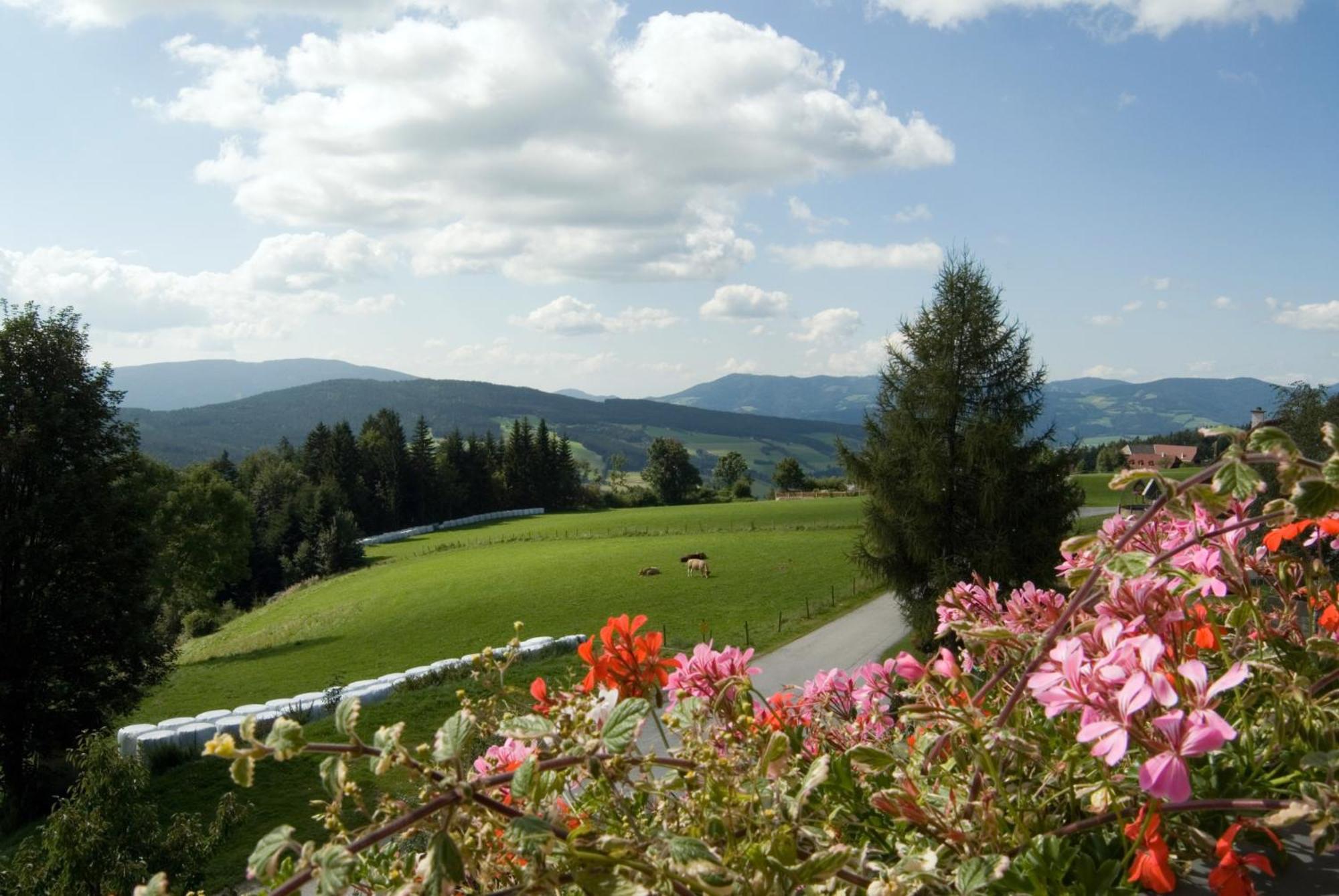 Wildwiesenhof Miesenbach  Εξωτερικό φωτογραφία