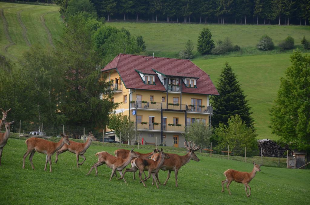 Wildwiesenhof Miesenbach  Εξωτερικό φωτογραφία