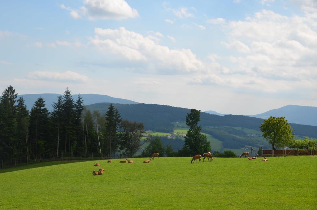 Wildwiesenhof Miesenbach  Εξωτερικό φωτογραφία