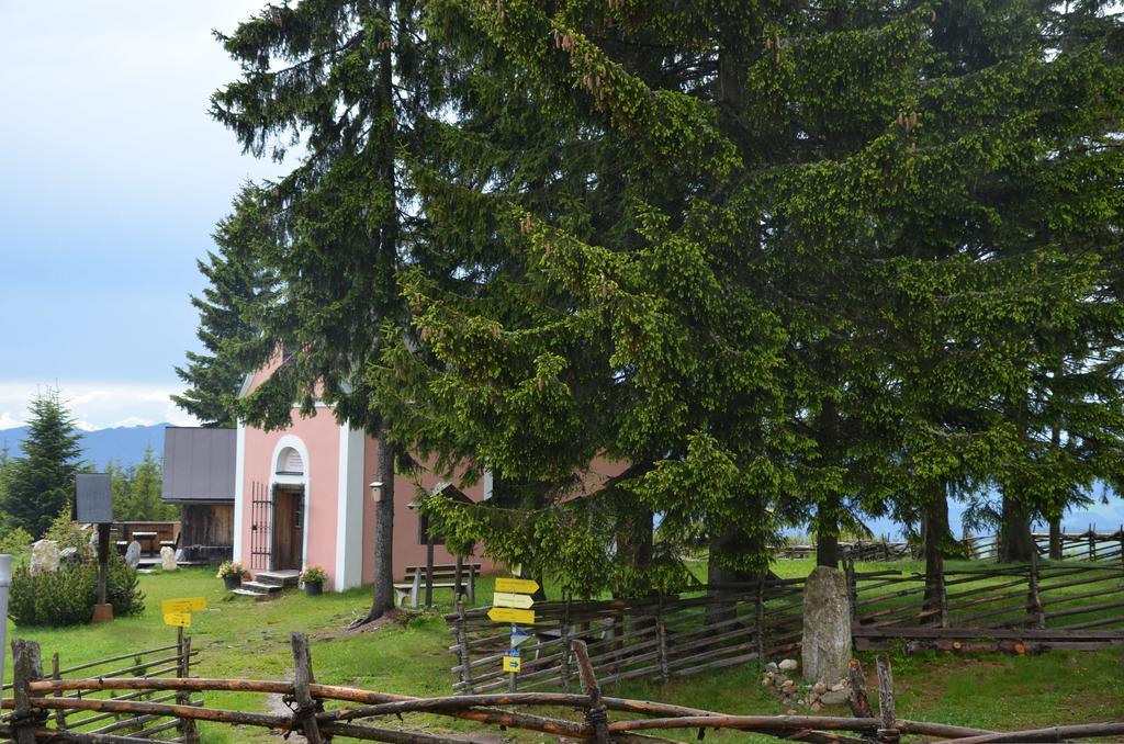 Wildwiesenhof Miesenbach  Εξωτερικό φωτογραφία